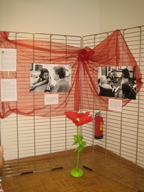 un aper�u de l'exposition des photographies magnifiques de Cathy Greenblat